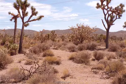 337-19-006 White Hills, White Hills, AZ 86445 - Photo 24