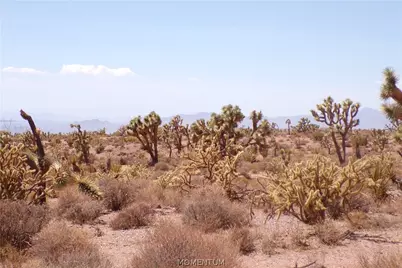 337-19-006 White Hills, White Hills, AZ 86445 - Photo 26