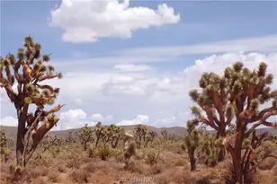 337-19-006 White Hills, White Hills, AZ 86445 - Photo 1