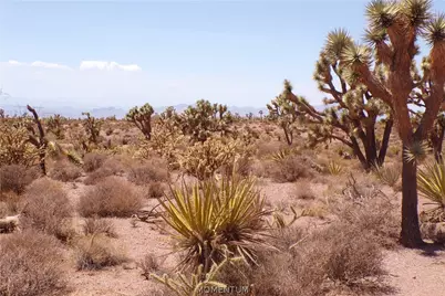 337-19-006 White Hills, White Hills, AZ 86445 - Photo 22