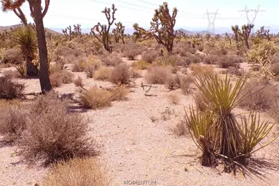337-19-006 White Hills, White Hills, AZ 86445 - Photo 20