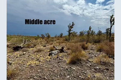 319-08-429 Kingman Drive, Dolan Springs, AZ 86441 - Photo 8