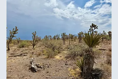 319-08-429 Kingman Drive, Dolan Springs, AZ 86441 - Photo 12