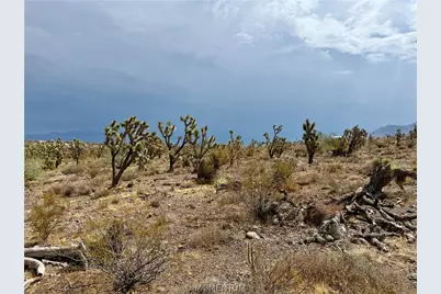 319-08-429 Kingman Drive, Dolan Springs, AZ 86441 - Photo 18