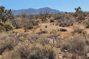 244-09-304 S Fox Dr, Yucca, AZ 86438 - Photo 1