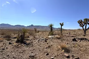 17612 N Katherine Dr, Dolan Springs, AZ 86441 - Photo 16