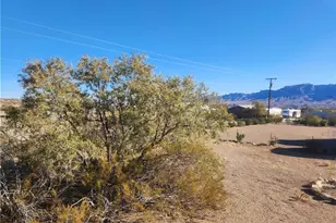 437 W Diamond Creek Dr, Meadview, AZ 86444 - Photo 28
