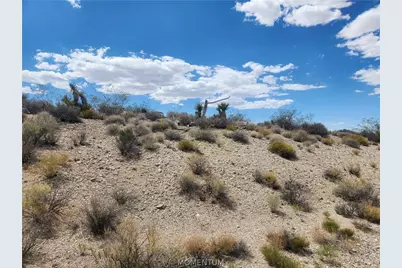 27475 N N. Driftwood Drive, Meadview, AZ 86444 - Photo 8