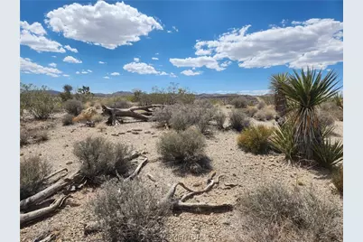 27475 N N. Driftwood Drive, Meadview, AZ 86444 - Photo 10