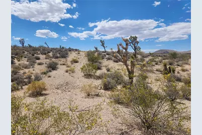 27445 N Driftwood Drive, Meadview, AZ 86444 - Photo 22