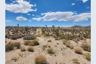 27445 N Driftwood Drive, Meadview, AZ 86444 - Photo 24