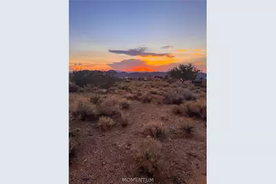 9436 N Burro Way, Kingman, AZ 86401 - Photo 8