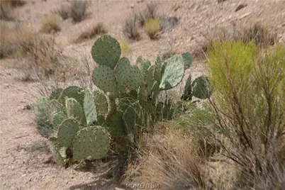 254-13-071 S Silver Springs Road, Kingman, AZ 86401 - Photo 20