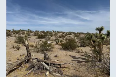 545 W Havasu Lane, Meadview, AZ 86444 - Photo 4
