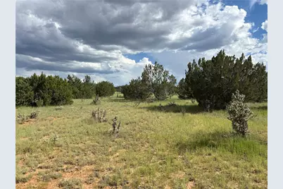 53555 N Markham Pass, Seligman, AZ 86337 - Photo 36