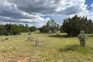 53555 N Markham Pass, Seligman, AZ 86337 - Photo 36
