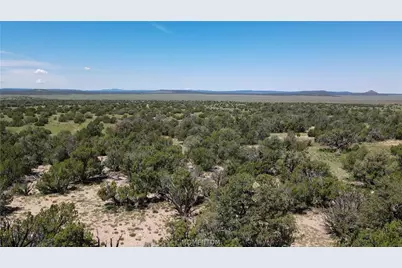 53555 N Markham Pass, Seligman, AZ 86337 - Photo 22
