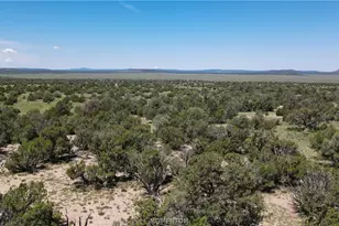53555 N Markham Pass, Seligman, AZ 86337 - Photo 22