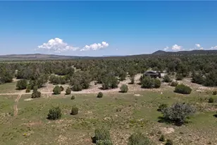 53555 N Markham Pass, Seligman, AZ 86337 - Photo 20