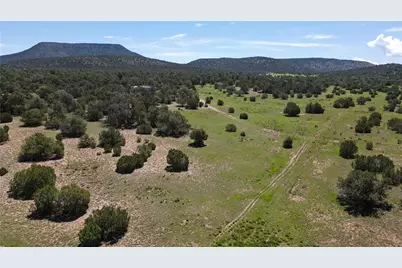 53555 N Markham Pass, Seligman, AZ 86337 - Photo 34