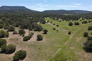 53555 N Markham Pass, Seligman, AZ 86337 - Photo 34
