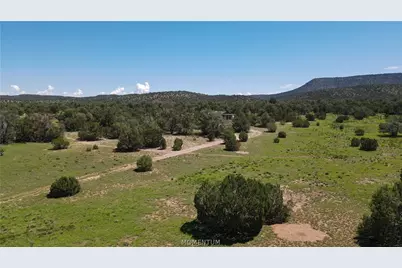 53555 N Markham Pass, Seligman, AZ 86337 - Photo 4