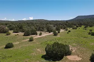 53555 N Markham Pass, Seligman, AZ 86337 - Photo 4
