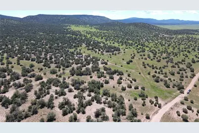 53555 N Markham Pass, Seligman, AZ 86337 - Photo 24
