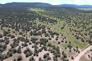 53555 N Markham Pass, Seligman, AZ 86337 - Photo 24