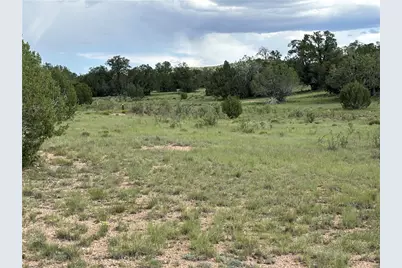 53555 N Markham Pass, Seligman, AZ 86337 - Photo 38