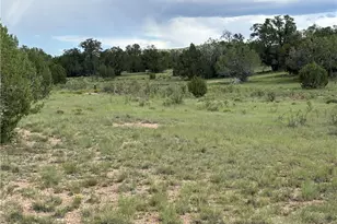 53555 N Markham Pass, Seligman, AZ 86337 - Photo 38