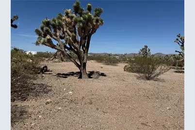 328-04-362 Mesquite Road, Dolan Springs, AZ 86441 - Photo 8