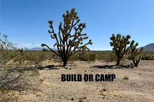 328-04-362 Mesquite Rd, Dolan Springs, AZ 86441 - Photo 1
