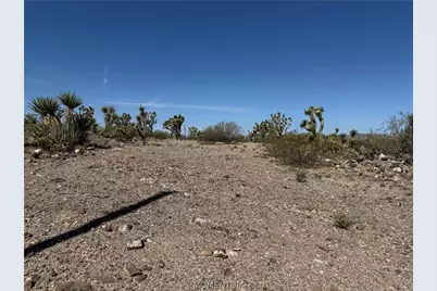 328-04-362 Mesquite Road, Dolan Springs, AZ 86441 - Photo 10