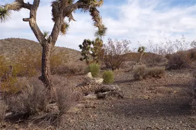 342-05-025 By Mohave Dr, White Hills, AZ 86445 - Photo 12