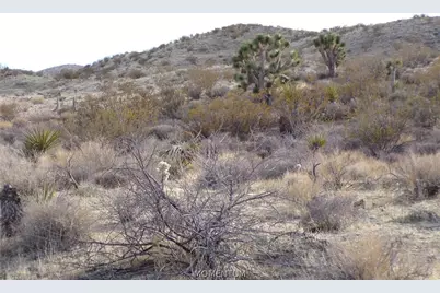342-05-025 By Mohave Dr, White Hills, AZ 86445 - Photo 8
