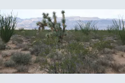 243-15-016 S Custer Road #3491, Yucca, AZ 86438 - Photo 48
