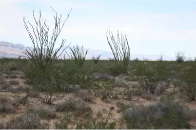 243-15-016 S Custer Road #3491, Yucca, AZ 86438 - Photo 50