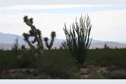 243-15-016 S Custer Road #3491, Yucca, AZ 86438 - Photo 44