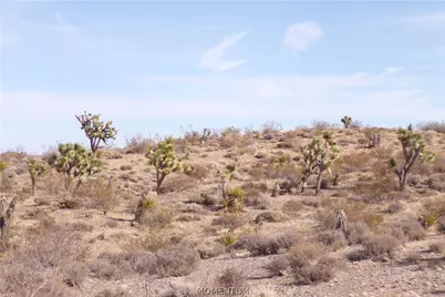 342-05-053 Off Of Mohave Dr, White Hills, AZ 86445 - Photo 20