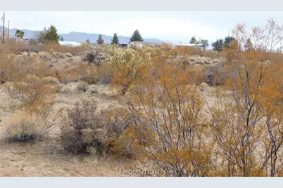 339-15-012 N Horse Mesa Road, Golden Valley, AZ 86413 - Photo 10