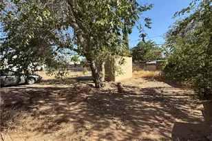 3539 E Warbler Ln, Kingman, AZ 86409 - Photo 28