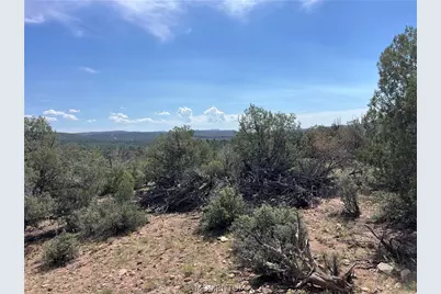 352-33-004 N Willows Ranch Road, Kingman, AZ 86401 - Photo 10