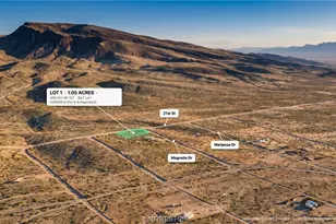 0 21st St, Dolan Springs, AZ 86441 - Photo 1