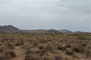 331-16-009 E Harry Coffman Rd, Kingman, AZ 86409 - Photo 1