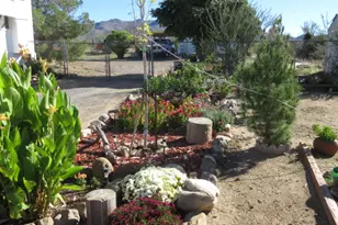 3616 N Hope Rd, Golden Valley, AZ 86413 - Photo 14