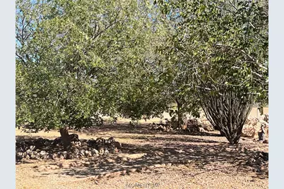 5485 Laguna Road, Golden Valley, AZ 86413 - Photo 6