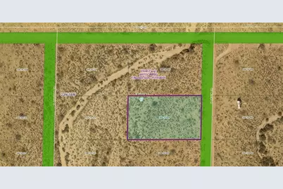 308-19-098 N Aksum Drive, Chloride, AZ 86431 - Photo 6