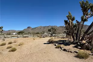 16676 N Kingman Dr, Dolan Springs, AZ 86441 - Photo 10