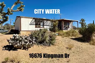 16676 N Kingman Dr, Dolan Springs, AZ 86441 - Photo 1